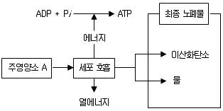 경찰공무원(순경) 과학 2015년 3회 14번 문제 그림
