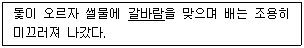 9급 국가직 공무원 2010년 1회 7번 문제 그림