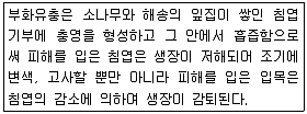 산림기능사 2011년 1회 29번 문제 그림