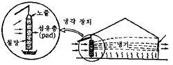 원예기능사 2004년 1회 60번 문제 그림