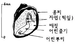 임업종묘기능사 2004년 1회 17번 문제 그림