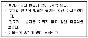임업종묘기능사 2008년 1회 6번 문제 그림
