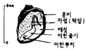 임업종묘기능사 2013년 1회 28번 문제 그림