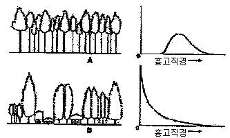 임업종묘기능사 2014년 1회 25번 문제 그림