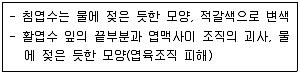 조경기능사 2015년 3회 41번 문제 그림
