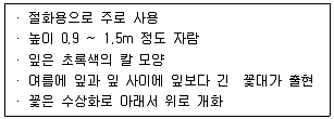화훼장식기능사 2013년 2회 5번 문제 그림