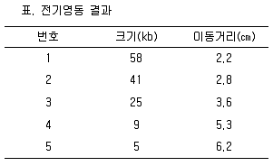 바이오화학제품제조기사 2005년 1회 19번 문제 그림