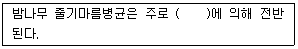 산림기사 2021년 1회 23번 문제 그림