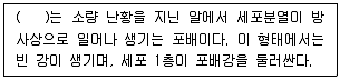 생물분류기사(동물) 2015년 1회 41번 문제 그림