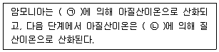 생물분류기사(동물) 2016년 1회 27번 문제 그림