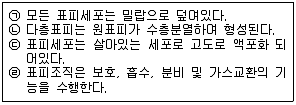 생물분류기사(동물) 2020년 1회 42번 문제 그림
