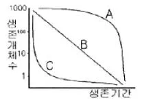 생물분류기사(식물) 2006년 1회 29번 문제 그림