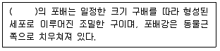 생물분류기사(식물) 2008년 1회 50번 문제 그림