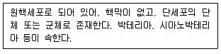 생물분류기사(식물) 2009년 1회 13번 문제 그림