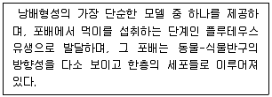 생물분류기사(식물) 2013년 1회 44번 문제 그림