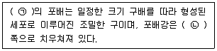 생물분류기사(식물) 2018년 1회 44번 문제 그림