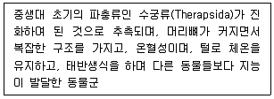 생물분류기사(식물) 2019년 1회 16번 문제 그림