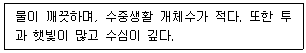 생물분류기사(식물) 2019년 1회 26번 문제 그림