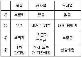 생물분류기사(식물) 2019년 1회 4번 문제 그림
