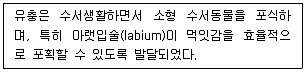 생물분류기사(식물) 2019년 1회 59번 문제 그림