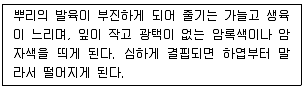 시설원예기사 2022년 1회 35번 문제 그림