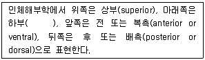 의공기사 2017년 1회 11번 문제 그림
