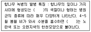 임업종묘기사 2015년 1회 41번 문제 그림
