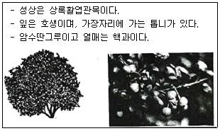 조경기사 2016년 1회 71번 문제 그림