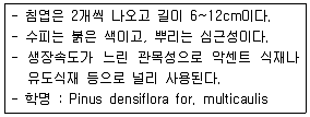 조경기사 2018년 3회 61번 문제 그림