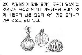 조경기사 2018년 3회 79번 문제 그림