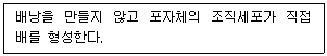 종자기사 2019년 1회 5번 문제 그림