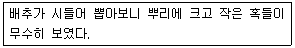 종자기사 2019년 2회 77번 문제 그림