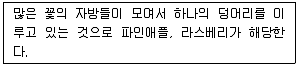 종자기사 2021년 3회 12번 문제 그림