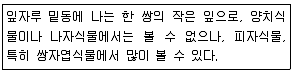 화훼장식기사 2016년 1회 5번 문제 그림