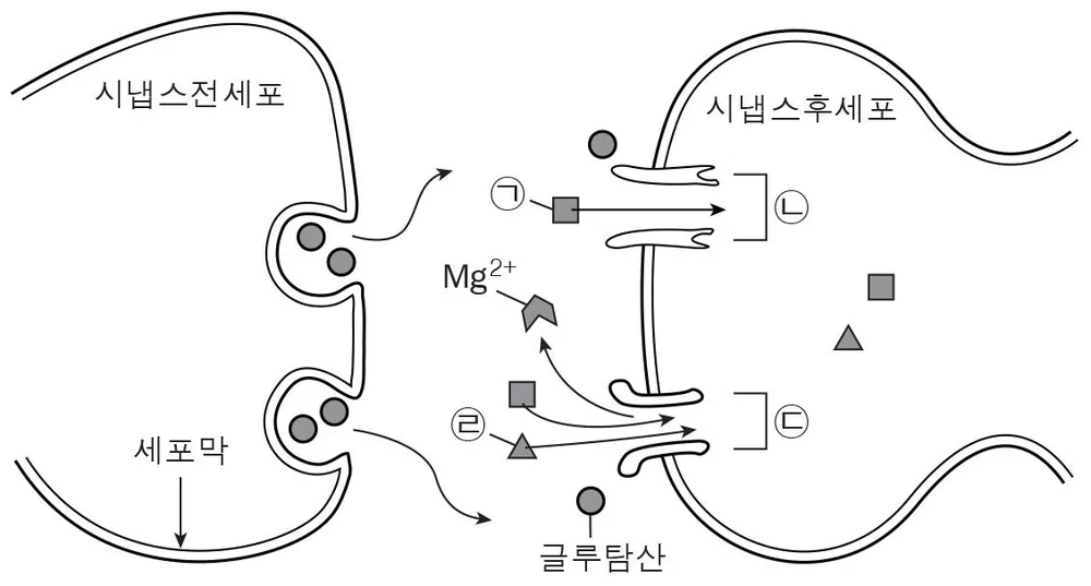국어영역 2016년 2회 24번 문제 그림