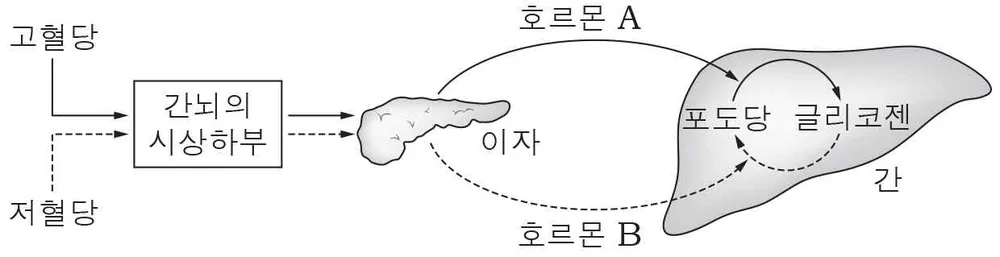 생명과학I 2014년 1회 12번 문제 그림