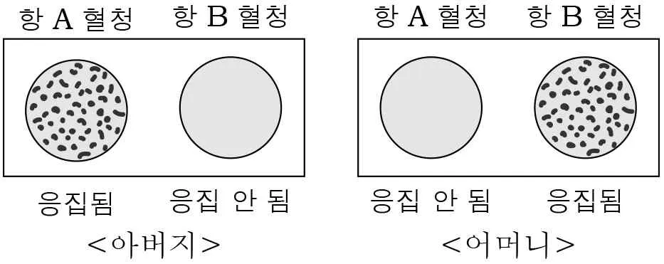 생명과학I 2014년 1회 17번 문제 그림