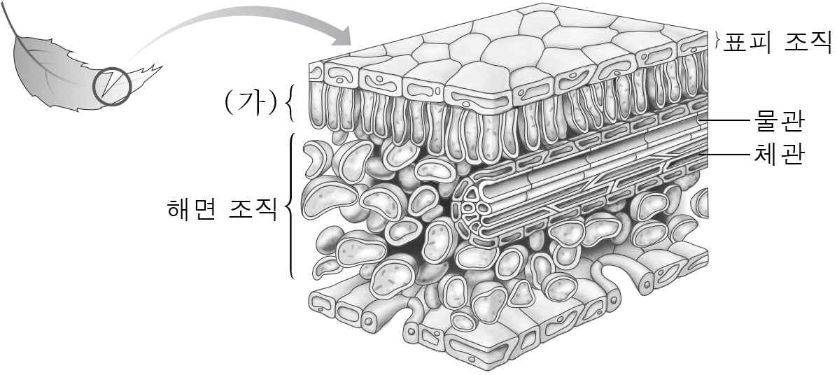 생명과학I 2014년 1회 3번 문제 그림
