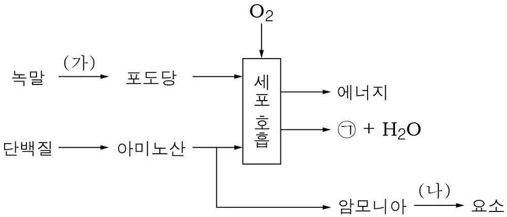 생명과학I 2014년 1회 8번 문제 그림