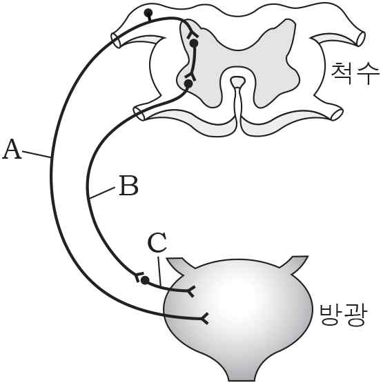 생명과학I 2014년 1회 9번 문제 그림