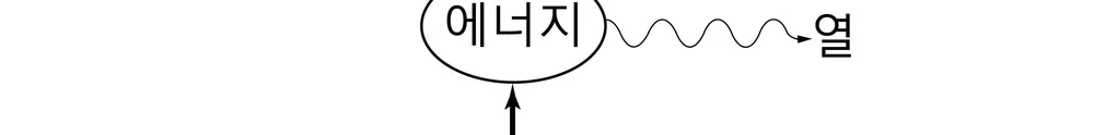 생명과학I 2014년 2회 8번 문제 그림
