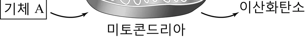 생명과학I 2014년 2회 8번 문제 그림