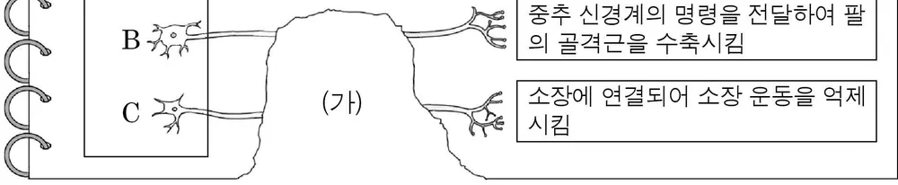생명과학I 2014년 4회 12번 문제 그림