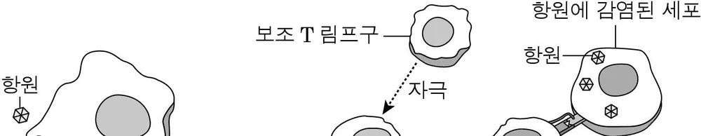 생명과학I 2014년 4회 14번 문제 그림
