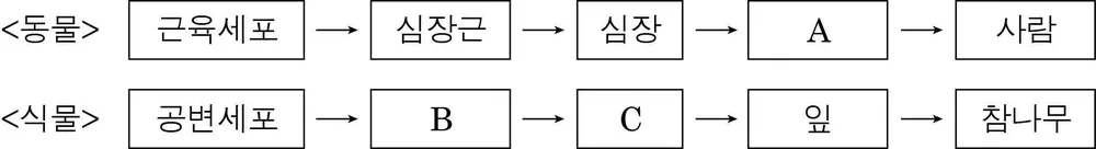생명과학I 2014년 4회 2번 문제 그림