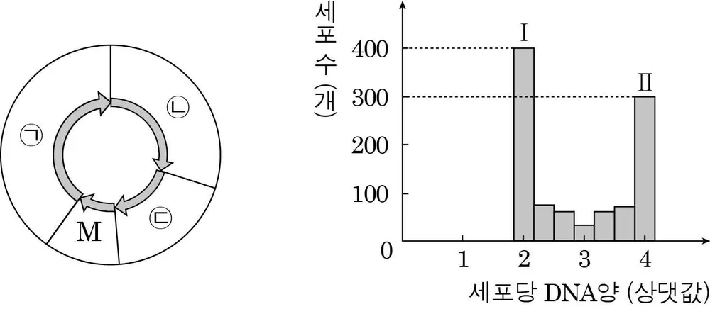 생명과학I 2014년 4회 5번 문제 그림