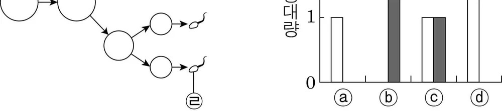 생명과학I 2014년 4회 9번 문제 그림