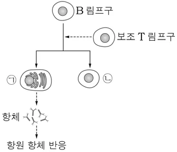 생명과학I 2015년 1회 17번 문제 그림