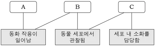 생명과학I 2015년 1회 6번 문제 그림