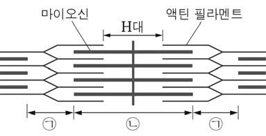 생명과학I 2015년 1회 8번 문제 그림